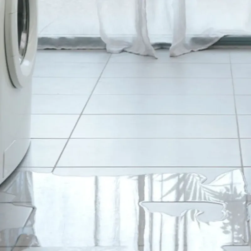 Appliance Leak Cleanup in Mountainaire, AZ